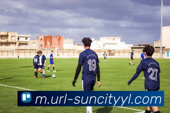 太阳城发展历程